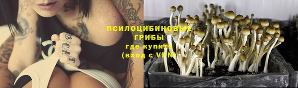 альфа пвп Нефтекумск